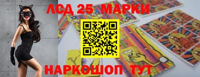 ешки Гатчина