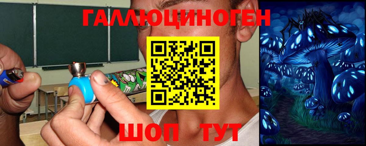 Псилоцибиновые грибы Psilocybe  Вход с VPN  Норильск 