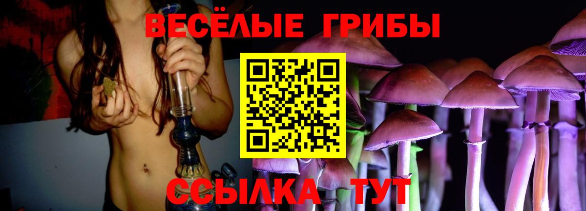 Галлюциногенные грибы Cubensis Норильск